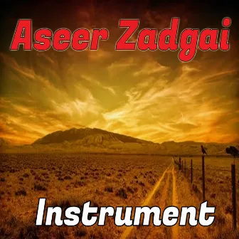 Aseer Zadgai (Instrumental) by Aamir Zaki