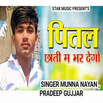 Pittal Chati Me Bhar Dego by Munna Nayan