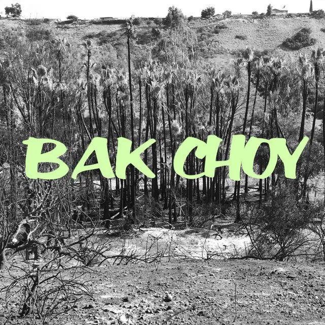 Bak Choy