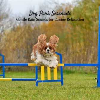 Dog Park Serenade: Gentle Rain Sounds for Canine Relaxation by Sleep Doggie