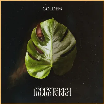 Golden by Monsterra