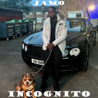 Incognito by Jamo