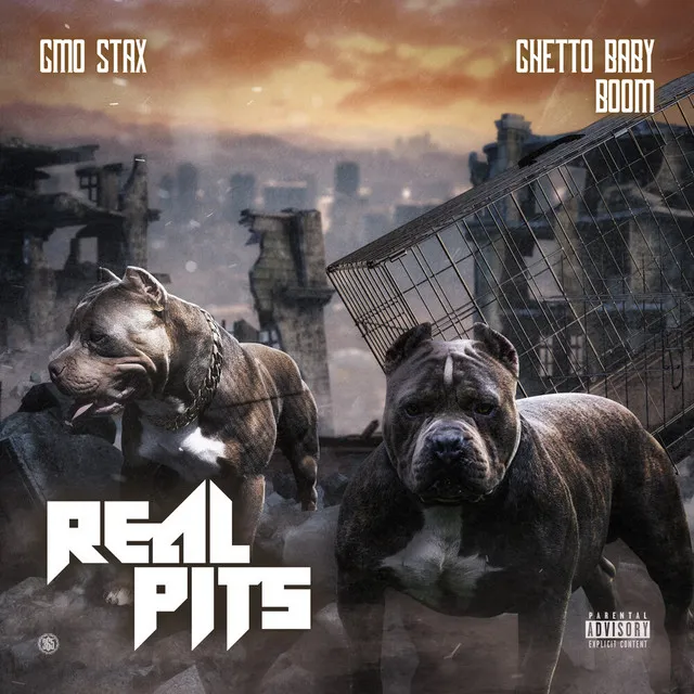 Real Pits (feat. Ghetto Baby Boom)