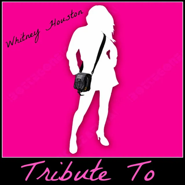 Tribute to Whitney Houston