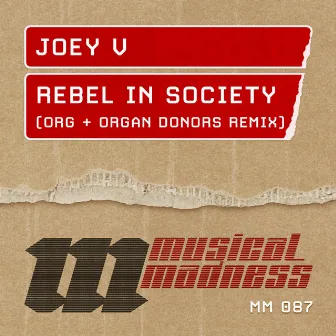 Rebel in Society by Joey V