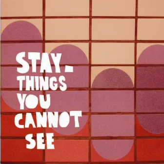 Things You Cannot See by Stay