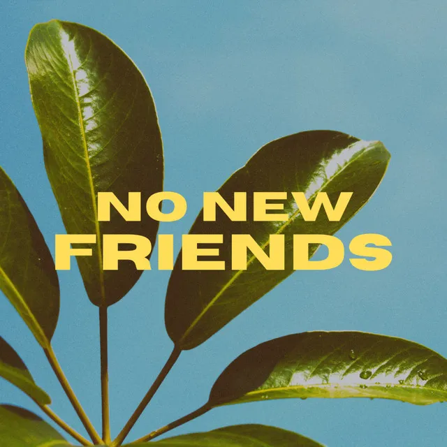 No New Friends