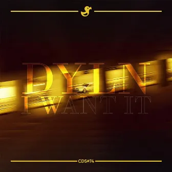 I Want it by DYLN