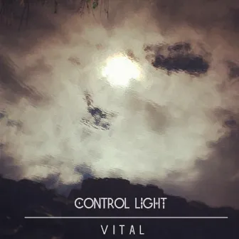 Vital by Control Light