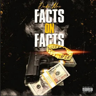 Facts on Facts by Deebo Mac