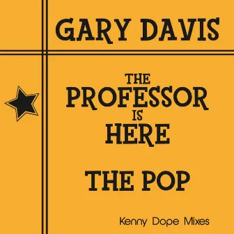 The Professor Is Here/The Pop by Gary Davis