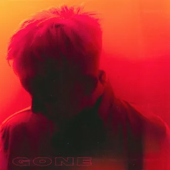 Gone (feat. Loco)(prod. 성국) by Vapo