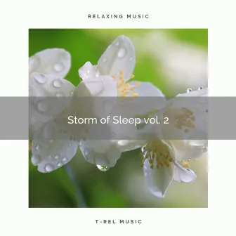 Storm of Sleep vol. 2 by cloudcity