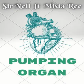 Pumping Organ by Sir. Neil