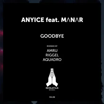 Goodbye by Anyice