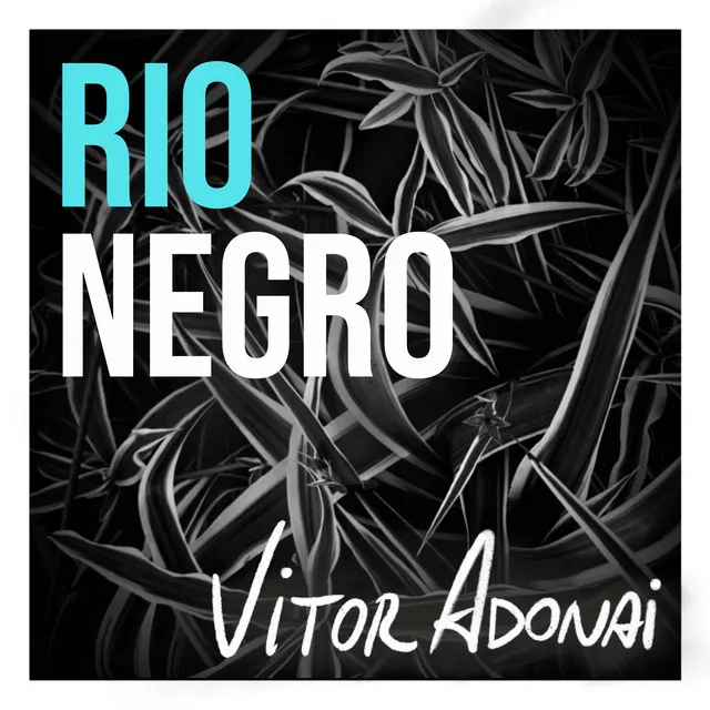 Rio Negro