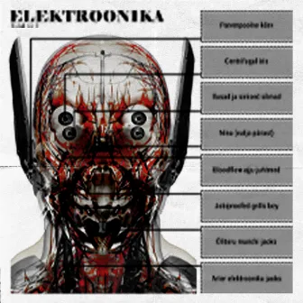 Elektroonika by NM Barramundi