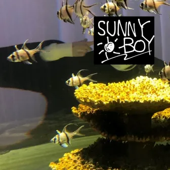 lonely by SUNNY BOY