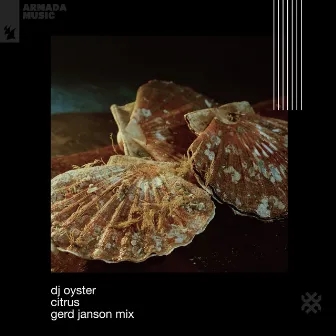 Citrus (Gerd Janson Mix) by DJ Oyster