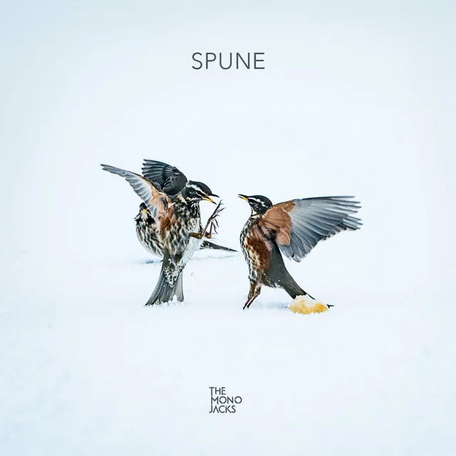 Spune