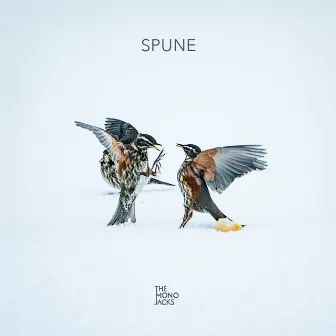 Spune by The Mono Jacks