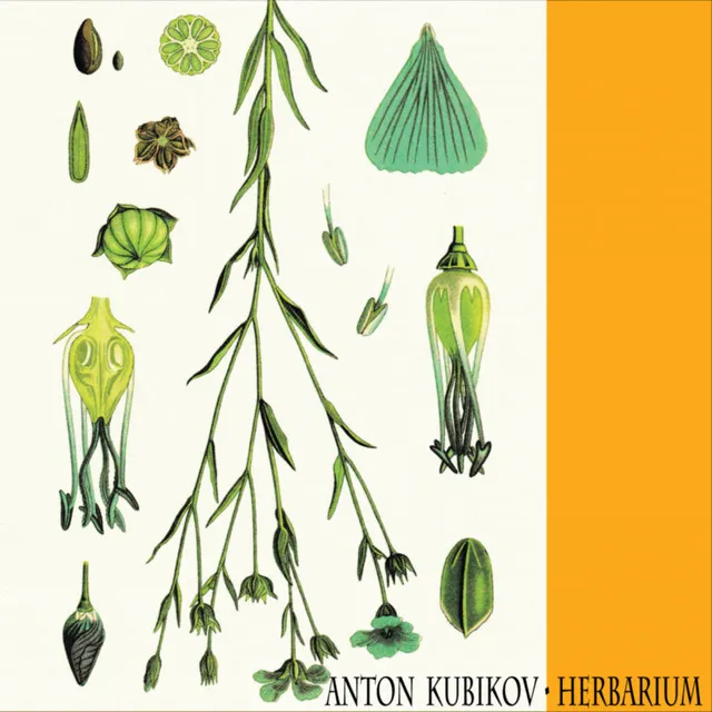 Herbarium Part One