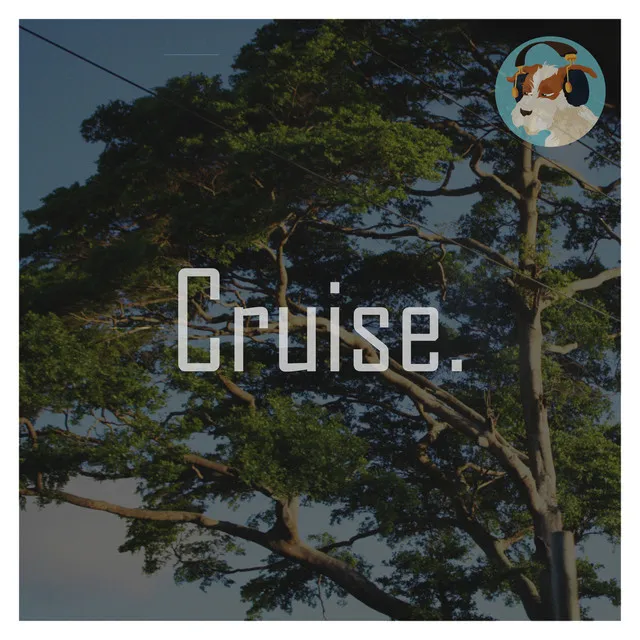 Cruise