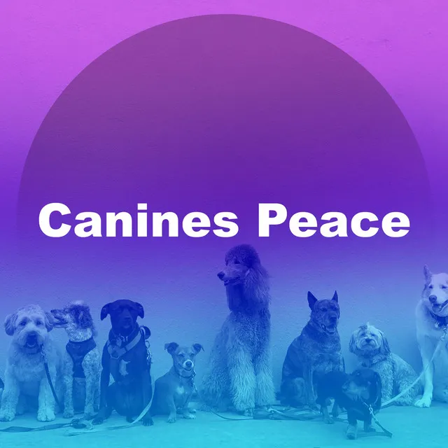 Canines Peace