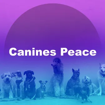 Canines Peace by Dog Music Sessions