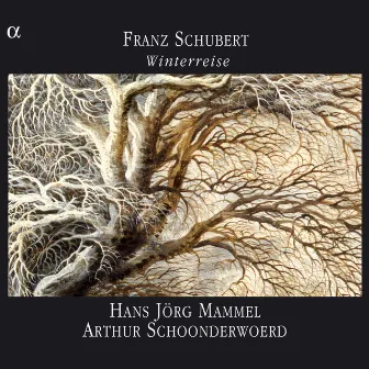 Schubert: Winterreise by Arthur Schoonderwoerd