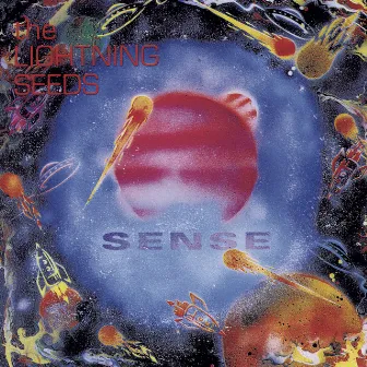 Sense by The Lightning Seeds