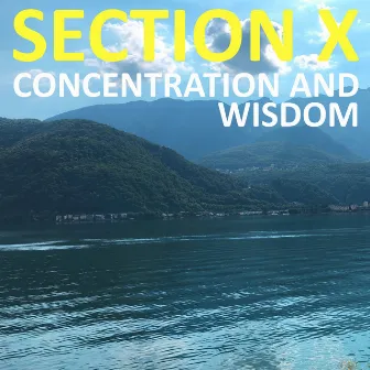 Concentration and Wisdom by Section X