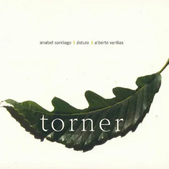 Torner by Anabel Santiago