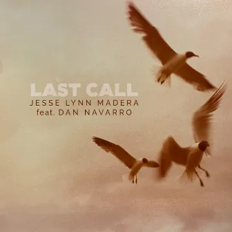 Last Call (feat. Dan Navarro) by Dan Navarro