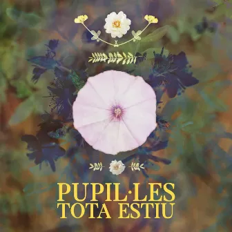 Tota Estiu by Pupil·les