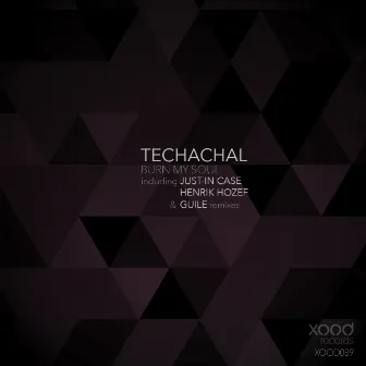 Burn My Soul by Techachal