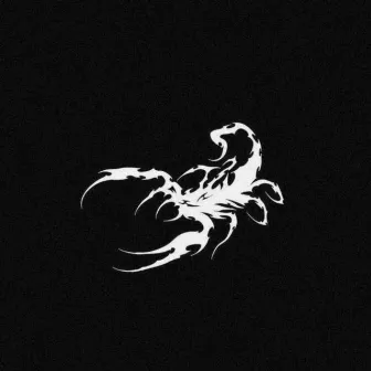 Scorpion by OKS