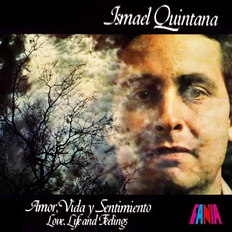 Amor, Vida Y Sentimiento (Love, Life & Feeling) by Ismael Quintana