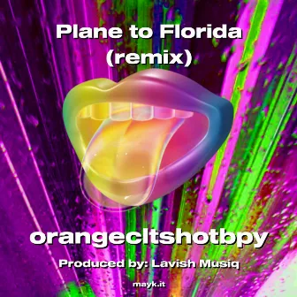 Plane to Florida by Lavish Musiq