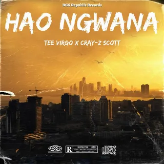 Hao Ngwana by Tee Virgo