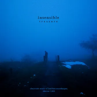 treasure by insensible