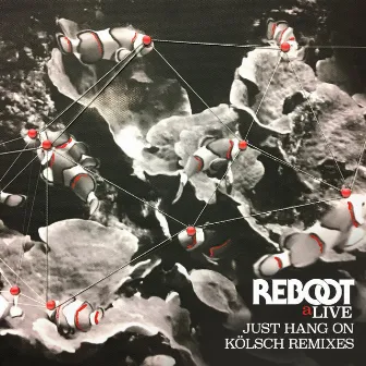 Just Hang On (Kölsch Remixes) by Reboot