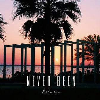 Never Been by Felium