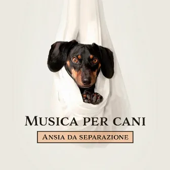 Musica per cani: Ansia da separazione - Calma istantanea, Sonno profondo, Lenisci i tuoi animali domestici by Tempo di Relax Club