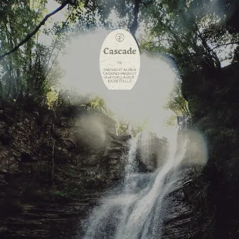 Cascade by Unwind Project