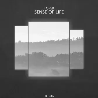 Sense of Life by Topek