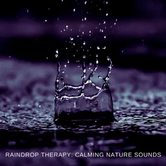 Raindrop Therapy: Calming Nature Sounds by Rainfall Place