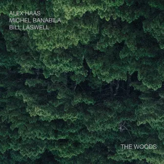 The Woods by Michel Banabila