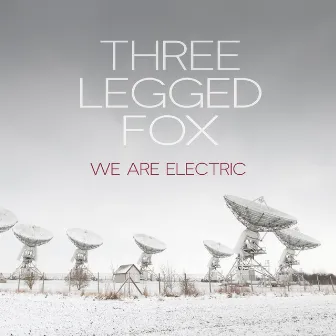 We Are Electric by Three Legged Fox