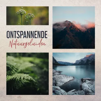 Ontspannende Natuurgeluiden (Muziek voor Rust, Ontspanning, Meditatie en Diepe Slaap) by Ontspanning Muziek Club